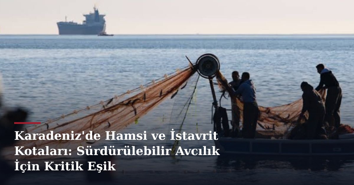 Karadeniz'de Hamsi ve İstavrit Kotaları: Sürdürülebilir Avcılık İçin Kritik Eşik