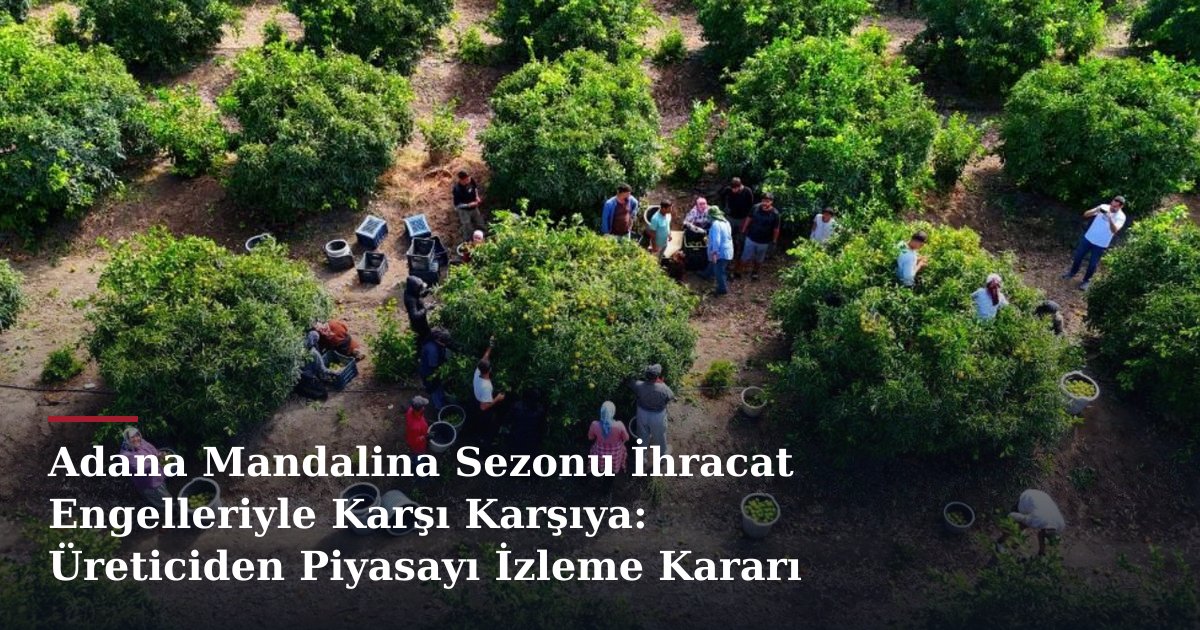 Adana Mandalina Sezonu İhracat Engelleriyle Karşı Karşıya: Üreticiden Piyasayı İzleme Kararı