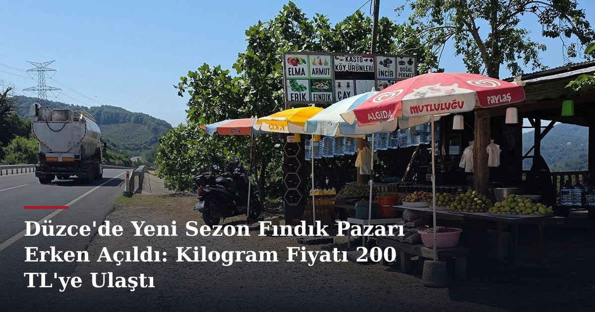 Düzce'de Yeni Sezon Fındık Pazarı Erken Açıldı: Kilogram Fiyatı 200 TL'ye Ulaştı