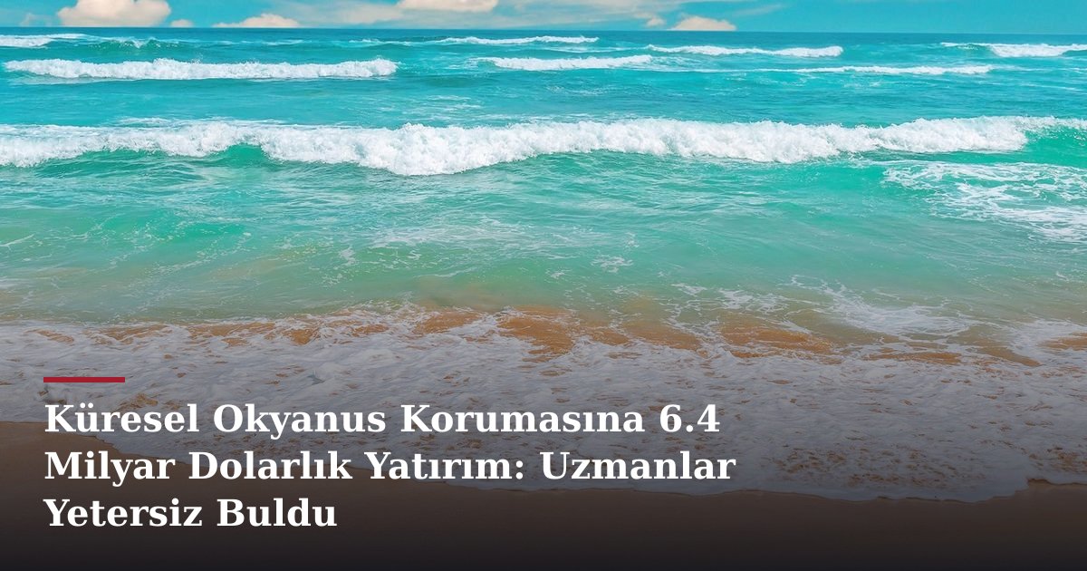 Küresel Okyanus Korumasına 6.4 Milyar Dolarlık Yatırım: Uzmanlar Yetersiz Buldu