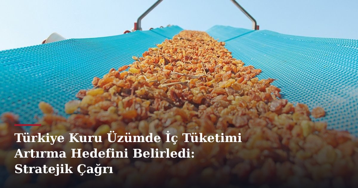 Türkiye Kuru Üzümde İç Tüketimi Artırma Hedefini Belirledi: Stratejik Çağrı