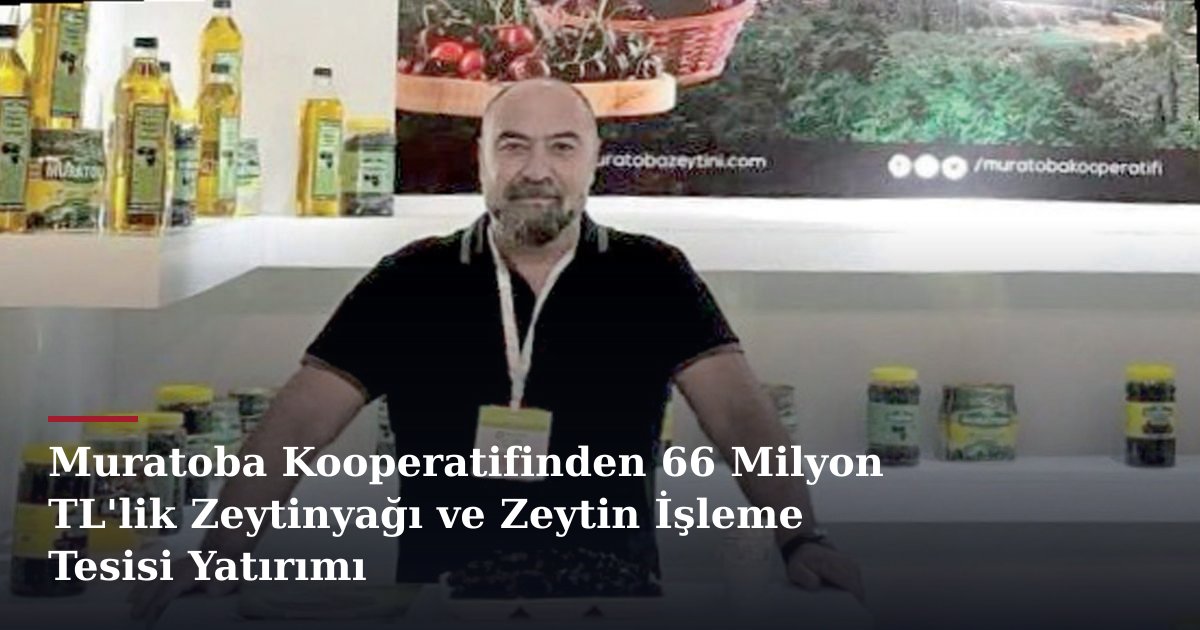 Muratoba Kooperatifinden 66 Milyon TL'lik Zeytinyağı ve Zeytin İşleme Tesisi Yatırımı