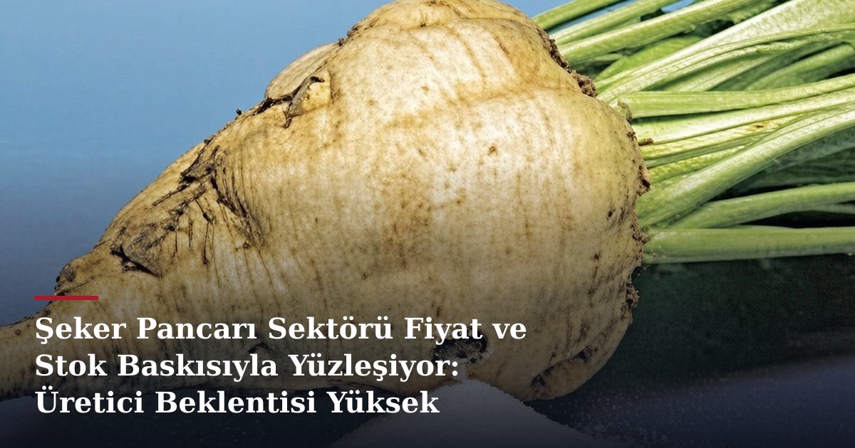 Şeker Pancarı Sektörü Fiyat ve Stok Baskısıyla Yüzleşiyor: Üretici Beklentisi Yüksek