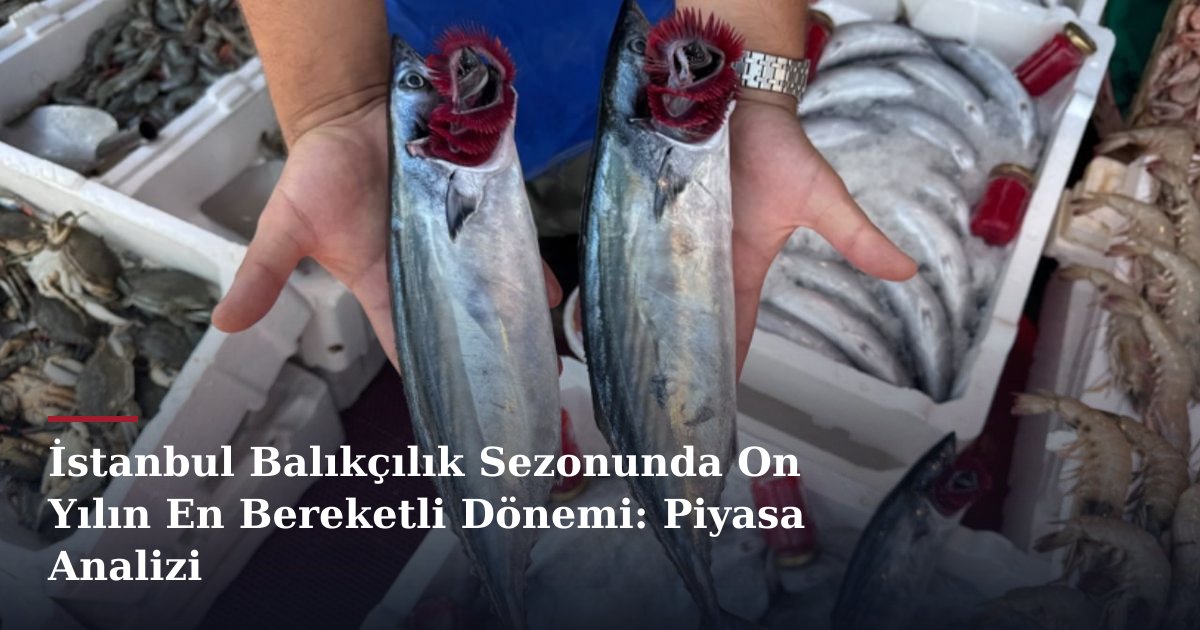 İstanbul Balıkçılık Sezonunda On Yılın En Bereketli Dönemi: Piyasa Analizi