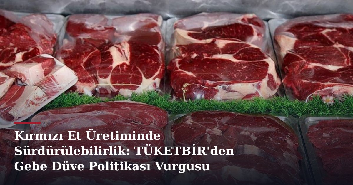 Kırmızı Et Üretiminde Sürdürülebilirlik: TÜKETBİR'den Gebe Düve Politikası Vurgusu