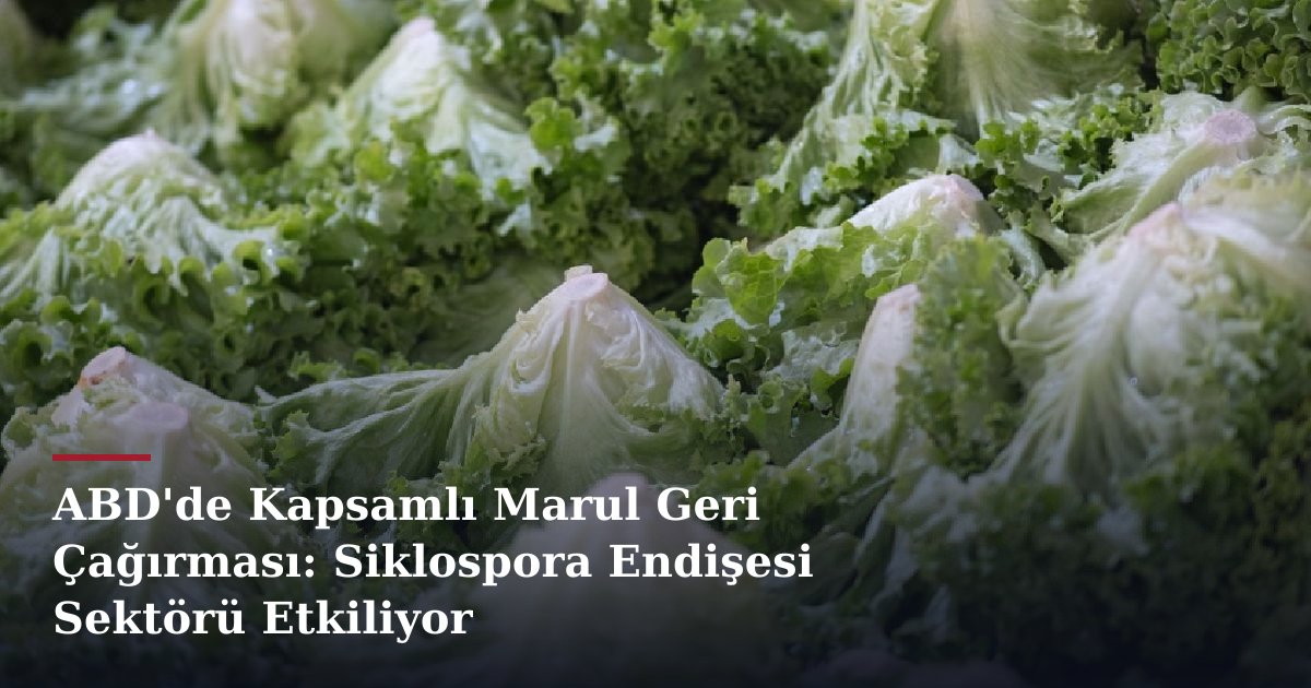 ABD'de Kapsamlı Marul Geri Çağırması: Siklospora Endişesi Sektörü Etkiliyor