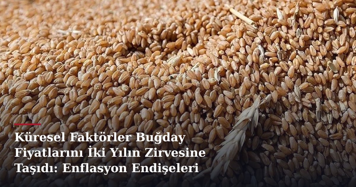 Küresel Faktörler Buğday Fiyatlarını İki Yılın Zirvesine Taşıdı: Enflasyon Endişeleri Artıyor