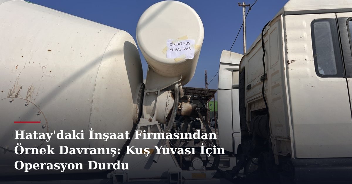 Hatay'daki İnşaat Firmasından Örnek Davranış: Kuş Yuvası İçin Operasyon Durdu