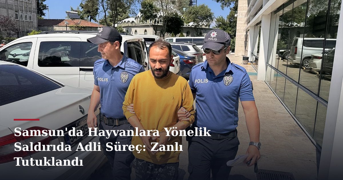 Samsun'da Hayvanlara Yönelik Saldırıda Adli Süreç: Zanlı Tutuklandı