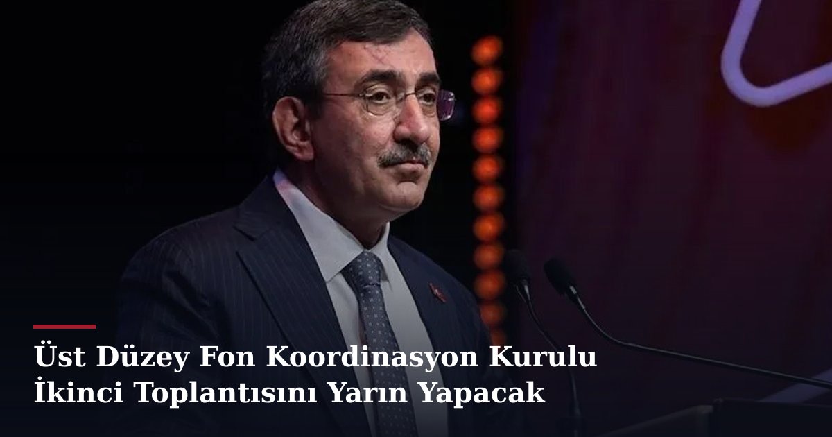Üst Düzey Fon Koordinasyon Kurulu İkinci Toplantısını Yarın Yapacak