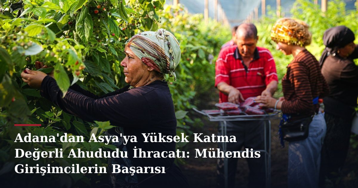 Adana'dan Asya'ya Yüksek Katma Değerli Ahududu İhracatı: Mühendis Girişimcilerin Başarısı