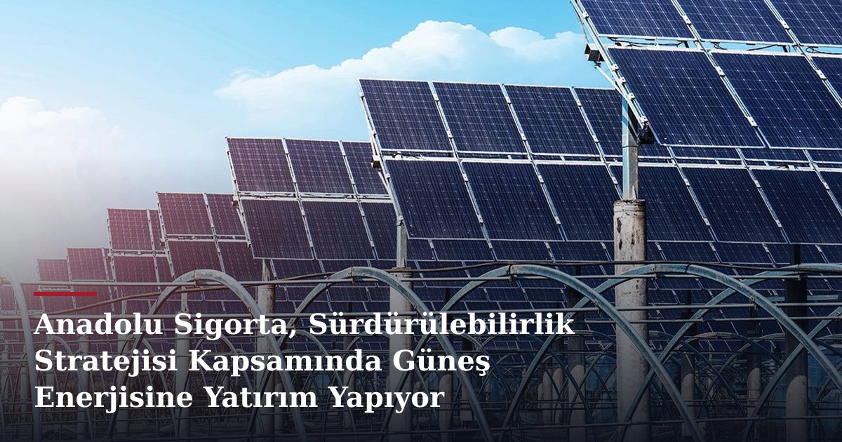Anadolu Sigorta, Sürdürülebilirlik Stratejisi Kapsamında Güneş Enerjisine Yatırım Yapıyor