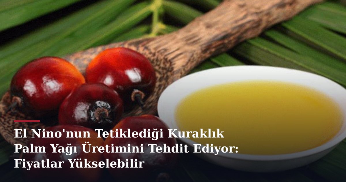 El Nino'nun Tetiklediği Kuraklık Palm Yağı Üretimini Tehdit Ediyor: Fiyatlar Yükselebilir