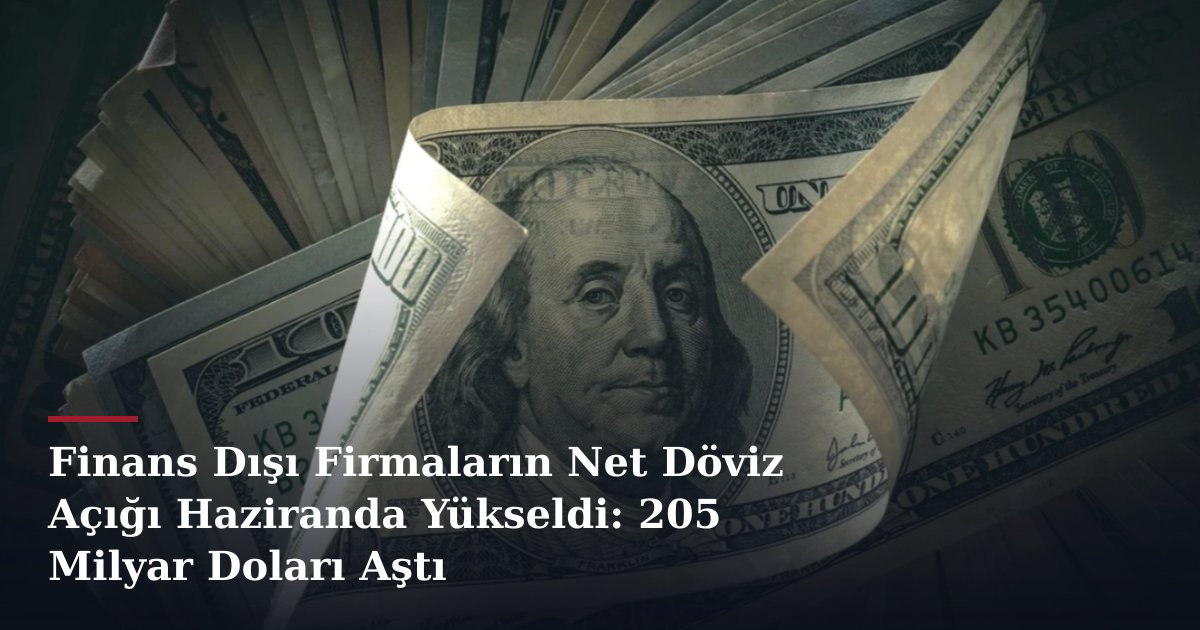 Finans Dışı Firmaların Net Döviz Açığı Haziranda Yükseldi: 205 Milyar Doları Aştı