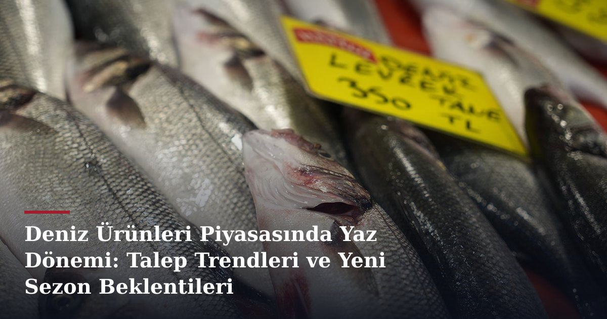 Deniz Ürünleri Piyasasında Yaz Dönemi: Talep Trendleri ve Yeni Sezon Beklentileri