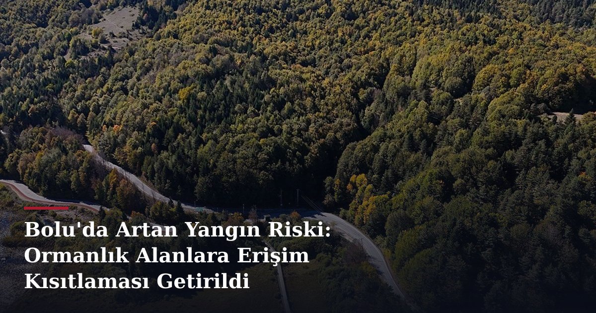 Bolu'da Artan Yangın Riski: Ormanlık Alanlara Erişim Kısıtlaması Getirildi