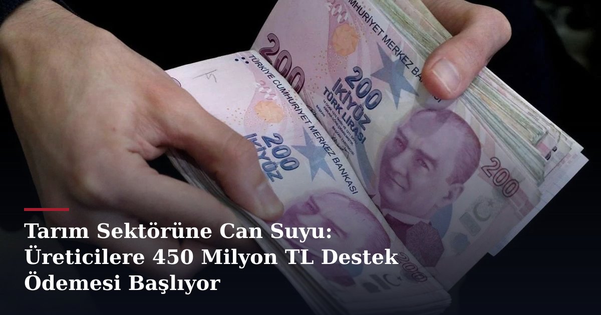 Tarım Sektörüne Can Suyu: Üreticilere 450 Milyon TL Destek Ödemesi Başlıyor