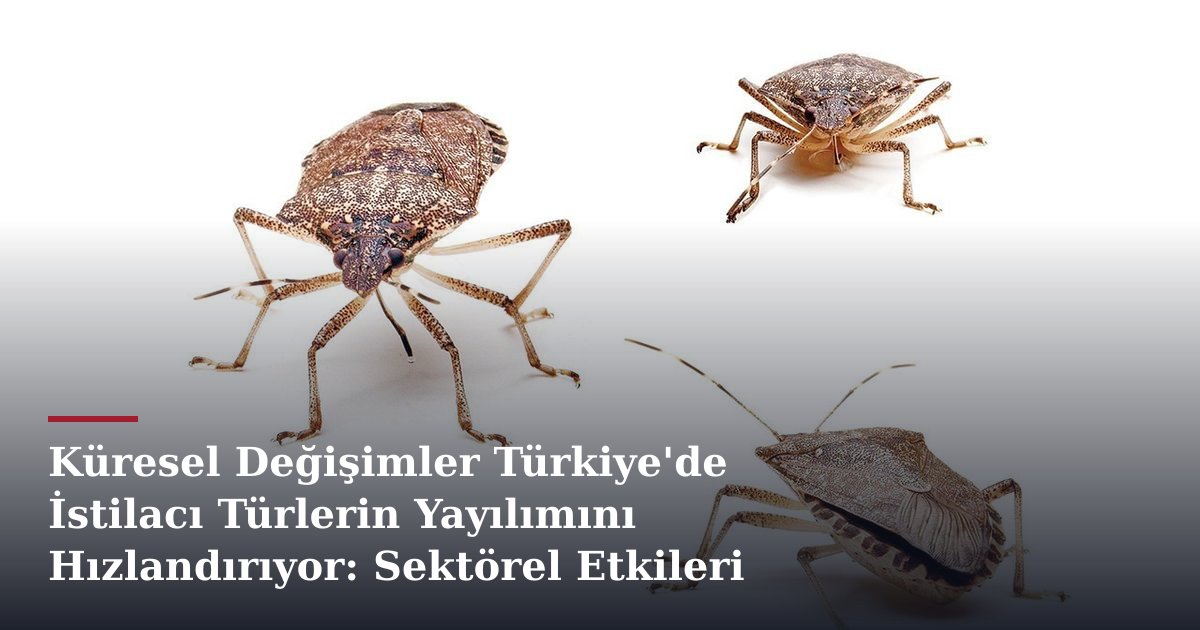 Küresel Değişimler Türkiye'de İstilacı Türlerin Yayılımını Hızlandırıyor: Sektörel Etkileri