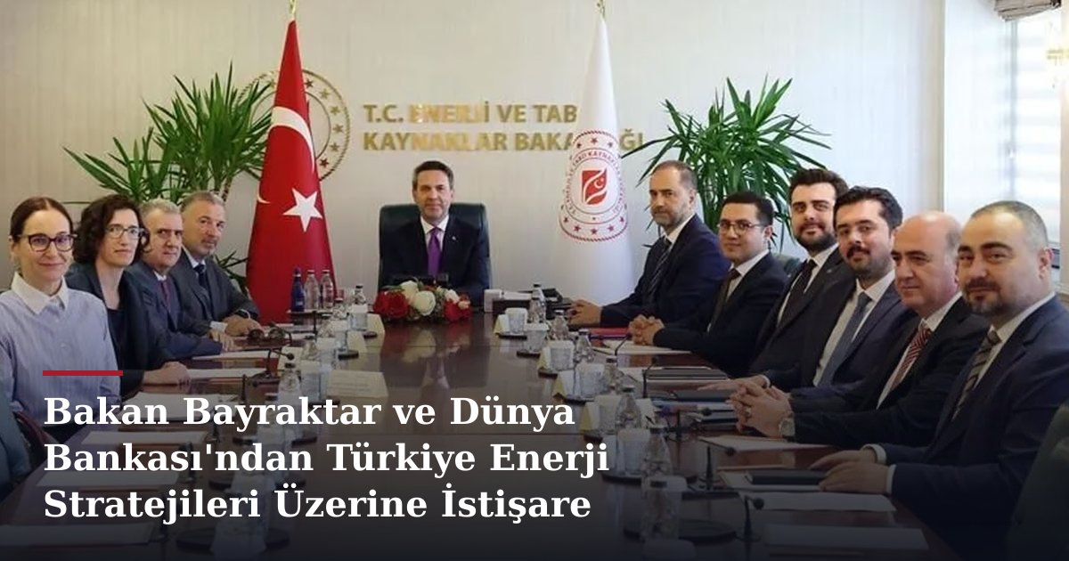 Bakan Bayraktar ve Dünya Bankası'ndan Türkiye Enerji Stratejileri Üzerine İstişare