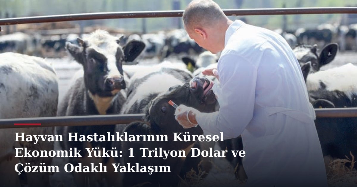 Hayvan Hastalıklarının Küresel Ekonomik Yükü: 1 Trilyon Dolar ve Çözüm Odaklı Yaklaşım