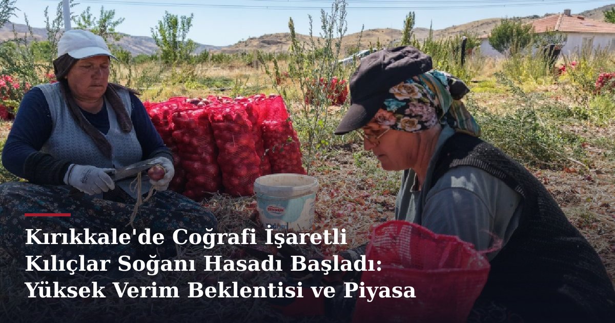 Kırıkkale'de Coğrafi İşaretli Kılıçlar Soğanı Hasadı Başladı: Yüksek Verim Beklentisi ve Piyasa Değeri