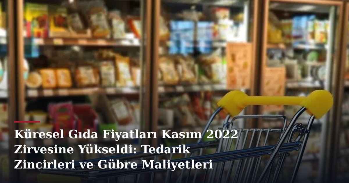Küresel Gıda Fiyatları Kasım 2022 Zirvesine Yükseldi: Tedarik Zincirleri ve Gübre Maliyetleri Endişe Veriyor