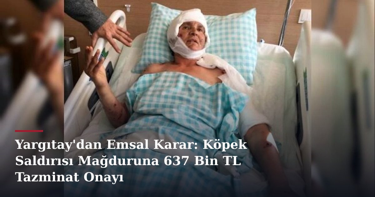 Yargıtay'dan Emsal Karar: Köpek Saldırısı Mağduruna 637 Bin TL Tazminat Onayı