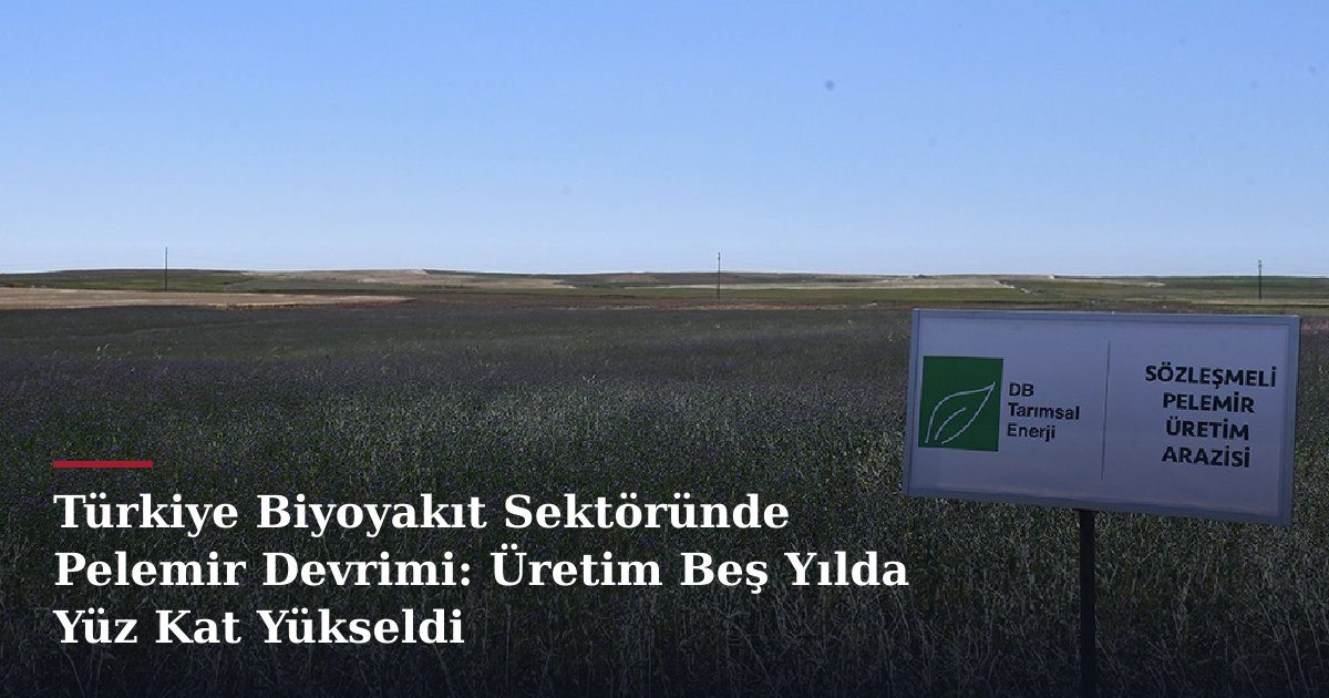Türkiye Biyoyakıt Sektöründe Pelemir Devrimi: Üretim Beş Yılda Yüz Kat Yükseldi