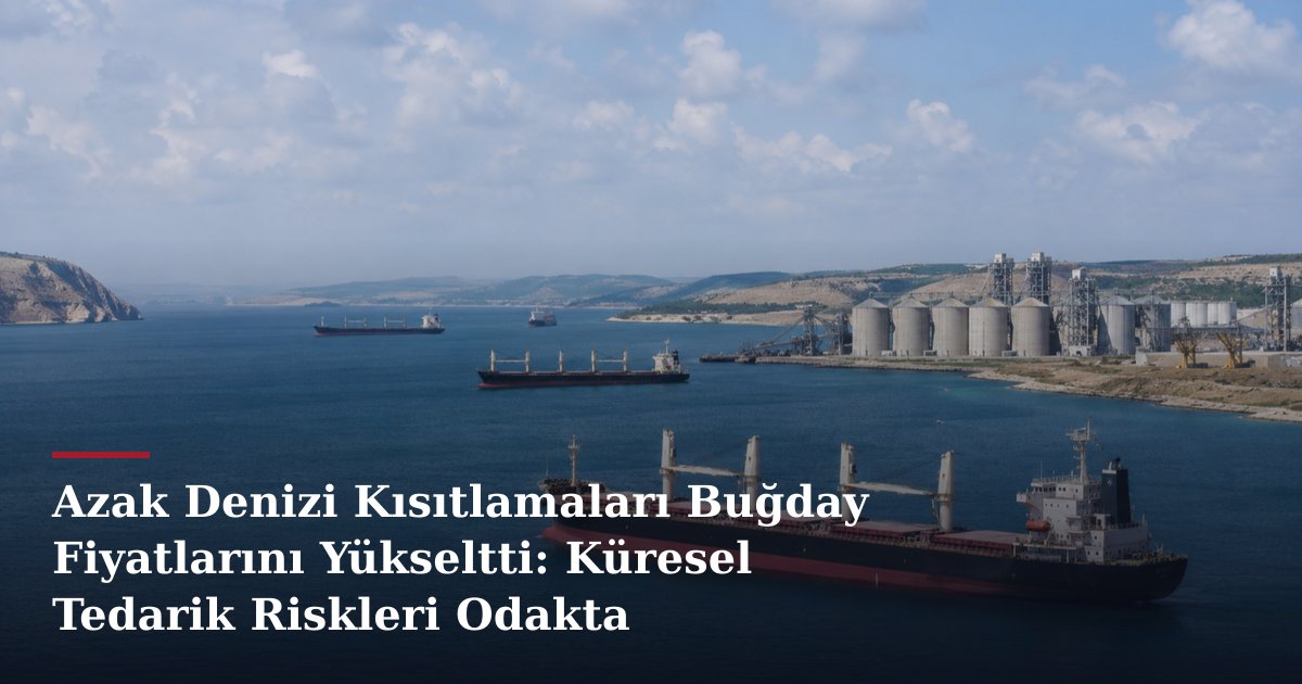 Azak Denizi Kısıtlamaları Buğday Fiyatlarını Yükseltti: Küresel Tedarik Riskleri Odakta
