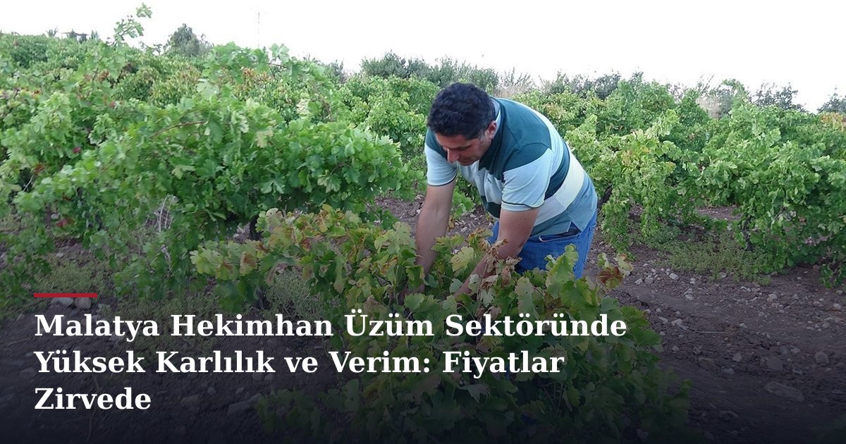 Malatya Hekimhan Üzüm Sektöründe Yüksek Karlılık ve Verim: Fiyatlar Zirvede