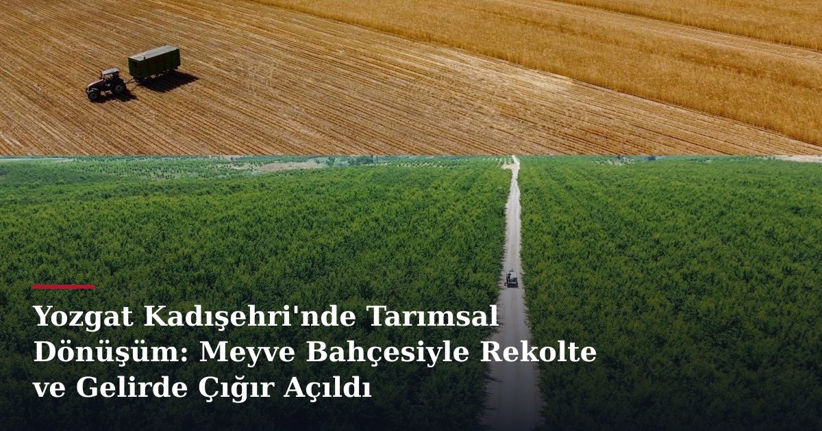 Yozgat Kadışehri'nde Tarımsal Dönüşüm: Meyve Bahçesiyle Rekolte ve Gelirde Çığır Açıldı