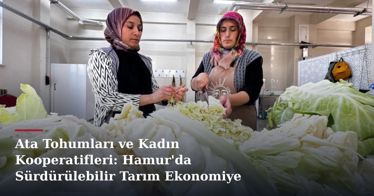 Ata Tohumları ve Kadın Kooperatifleri: Hamur'da Sürdürülebilir Tarım Ekonomiye Dönüşüyor