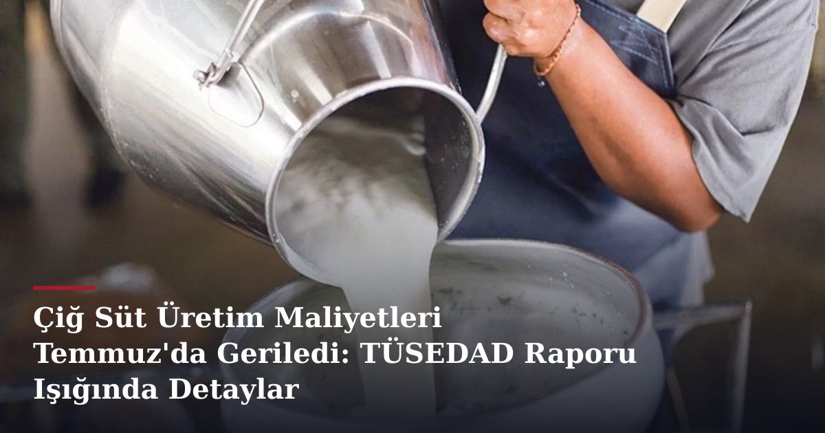 Çiğ Süt Üretim Maliyetleri Temmuz'da Geriledi: TÜSEDAD Raporu Işığında Detaylar