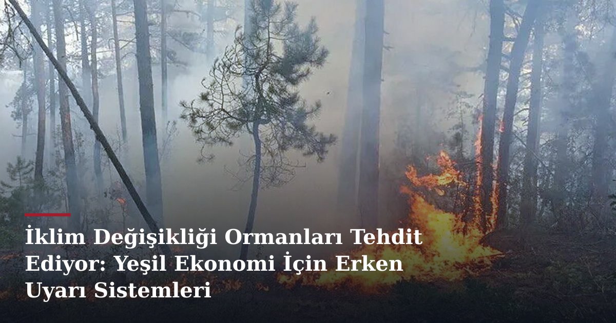 İklim Değişikliği Ormanları Tehdit Ediyor: Yeşil Ekonomi İçin Erken Uyarı Sistemleri