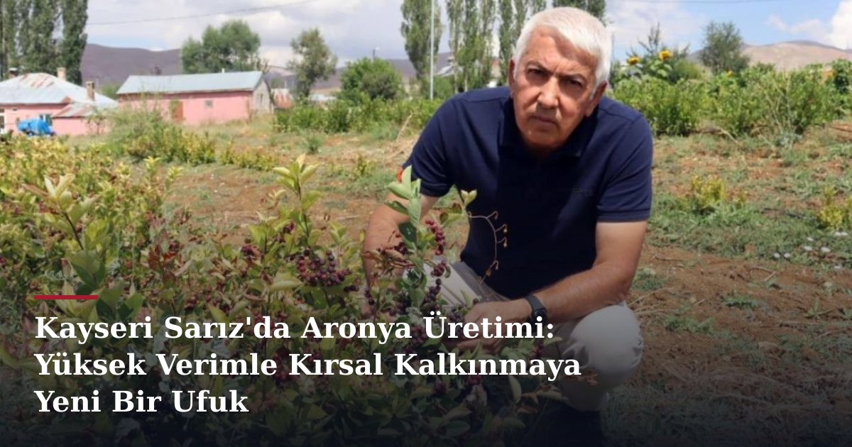 Kayseri Sarız'da Aronya Üretimi: Yüksek Verimle Kırsal Kalkınmaya Yeni Bir Ufuk