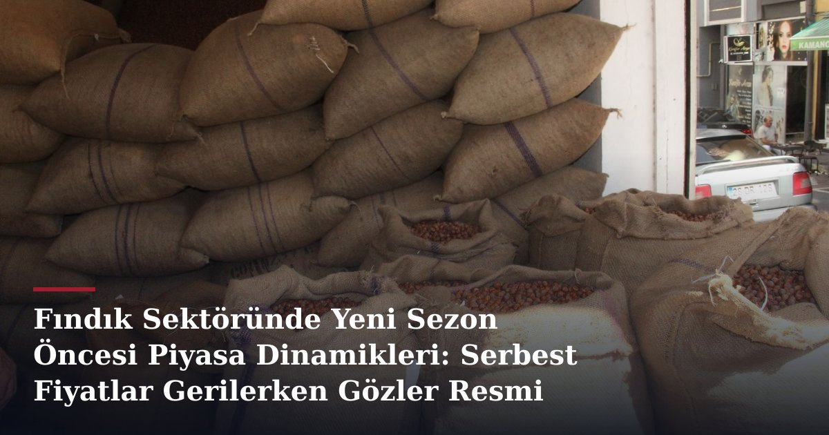 Fındık Sektöründe Yeni Sezon Öncesi Piyasa Dinamikleri: Serbest Fiyatlar Gerilerken Gözler Resmi Açıklamada