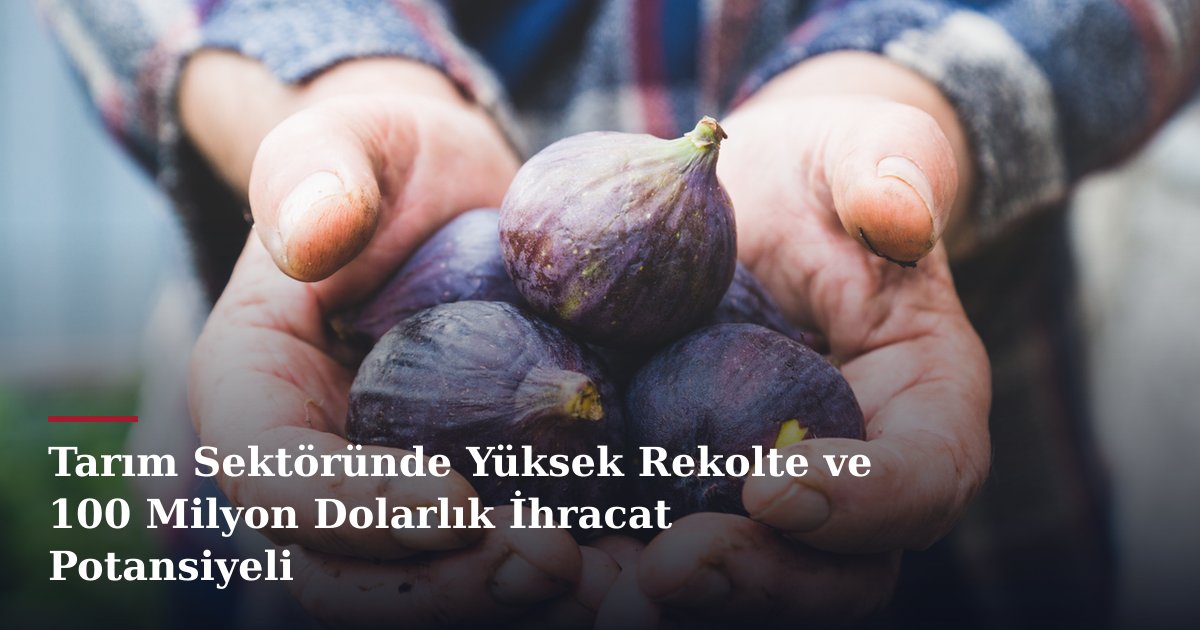 Tarım Sektöründe Yüksek Rekolte ve 100 Milyon Dolarlık İhracat Potansiyeli