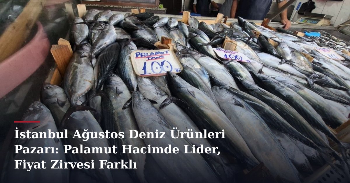 İstanbul Ağustos Deniz Ürünleri Pazarı: Palamut Hacimde Lider, Fiyat Zirvesi Farklı