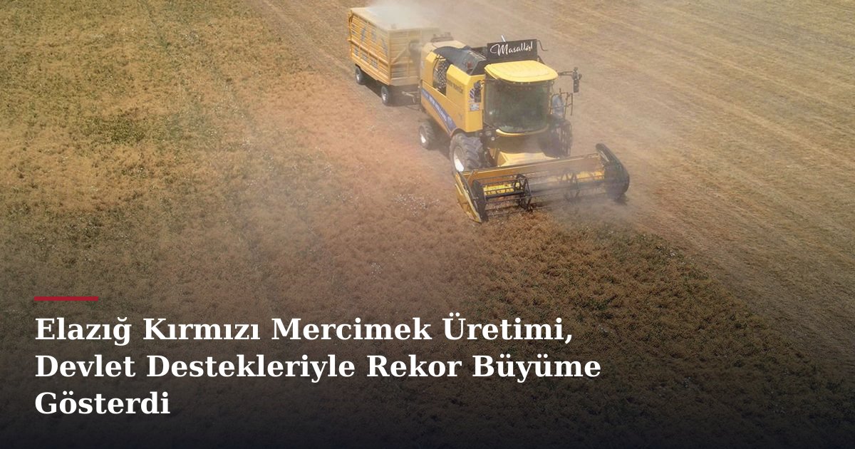 Elazığ Kırmızı Mercimek Üretimi, Devlet Destekleriyle Rekor Büyüme Gösterdi