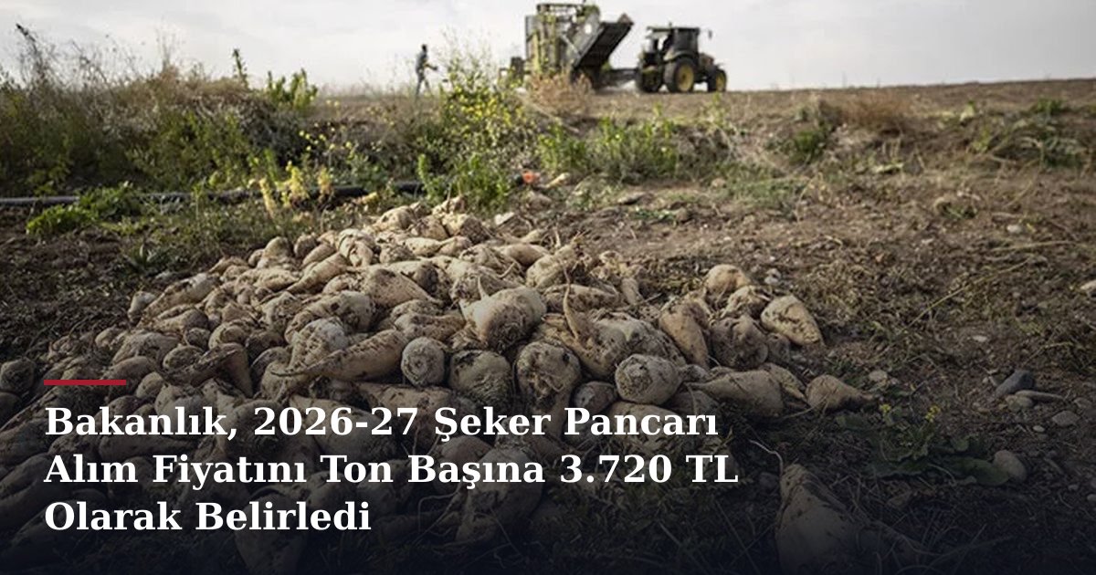 Bakanlık, 2026-27 Şeker Pancarı Alım Fiyatını Ton Başına 3.720 TL Olarak Belirledi