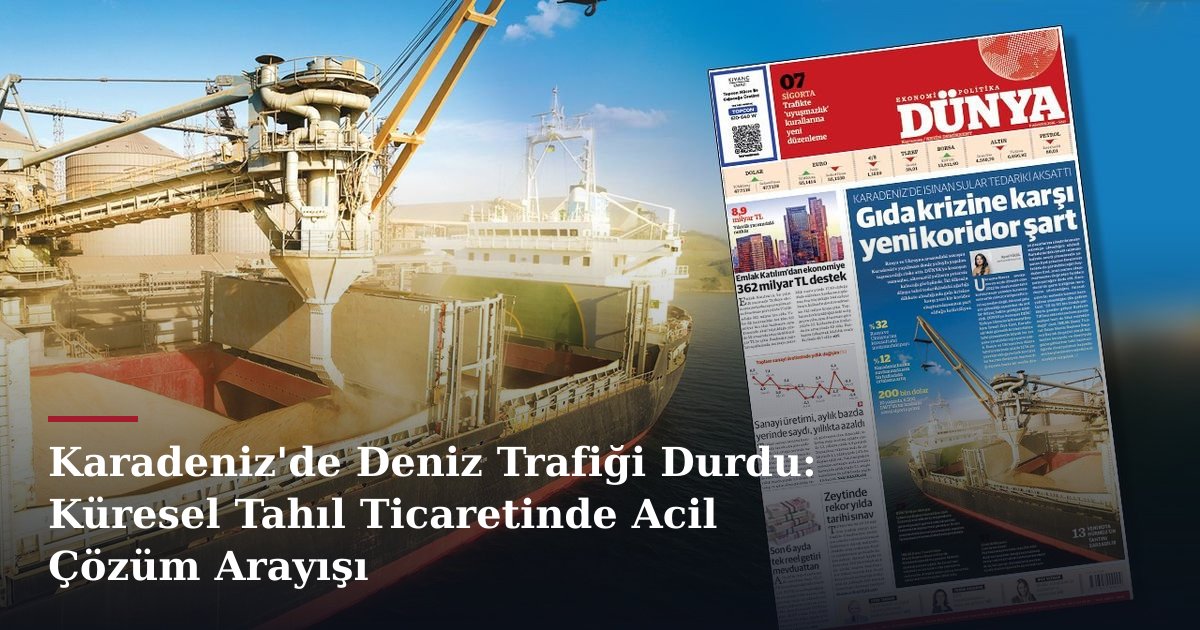 Karadeniz'de Deniz Trafiği Durdu: Küresel Tahıl Ticaretinde Acil Çözüm Arayışı