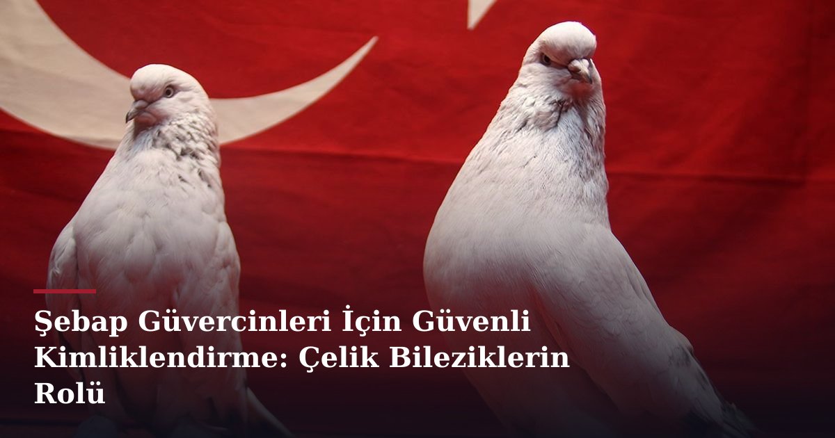 Şebap Güvercinleri İçin Güvenli Kimliklendirme: Çelik Bileziklerin Rolü
