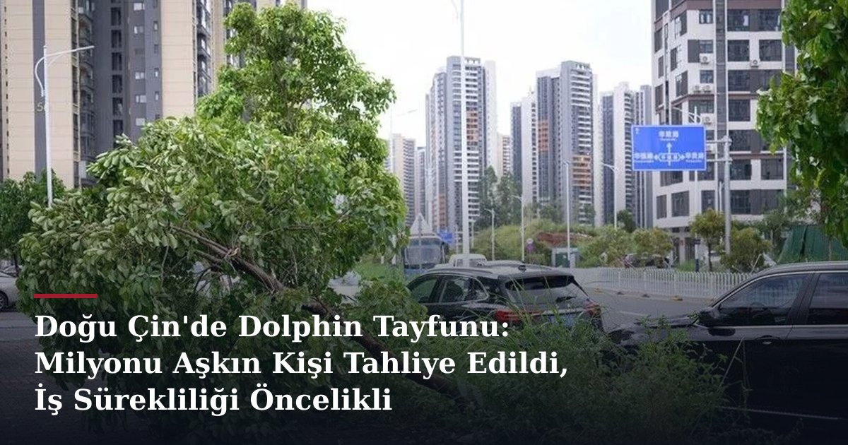 Doğu Çin'de Dolphin Tayfunu: Milyonu Aşkın Kişi Tahliye Edildi, İş Sürekliliği Öncelikli