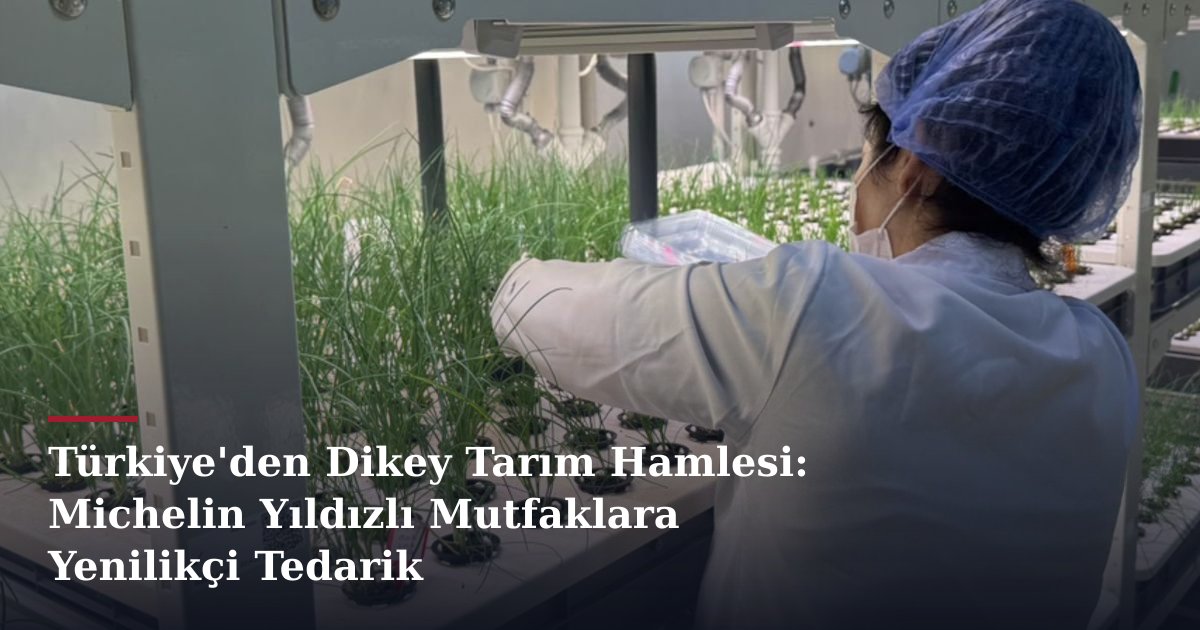 Türkiye'den Dikey Tarım Hamlesi: Michelin Yıldızlı Mutfaklara Yenilikçi Tedarik