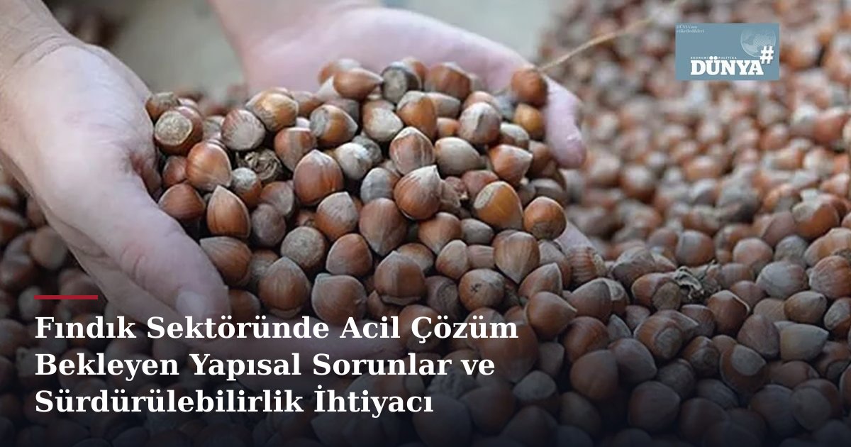 Fındık Sektöründe Acil Çözüm Bekleyen Yapısal Sorunlar ve Sürdürülebilirlik İhtiyacı