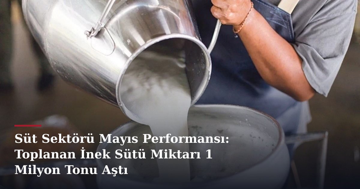 Süt Sektörü Mayıs Performansı: Toplanan İnek Sütü Miktarı 1 Milyon Tonu Aştı