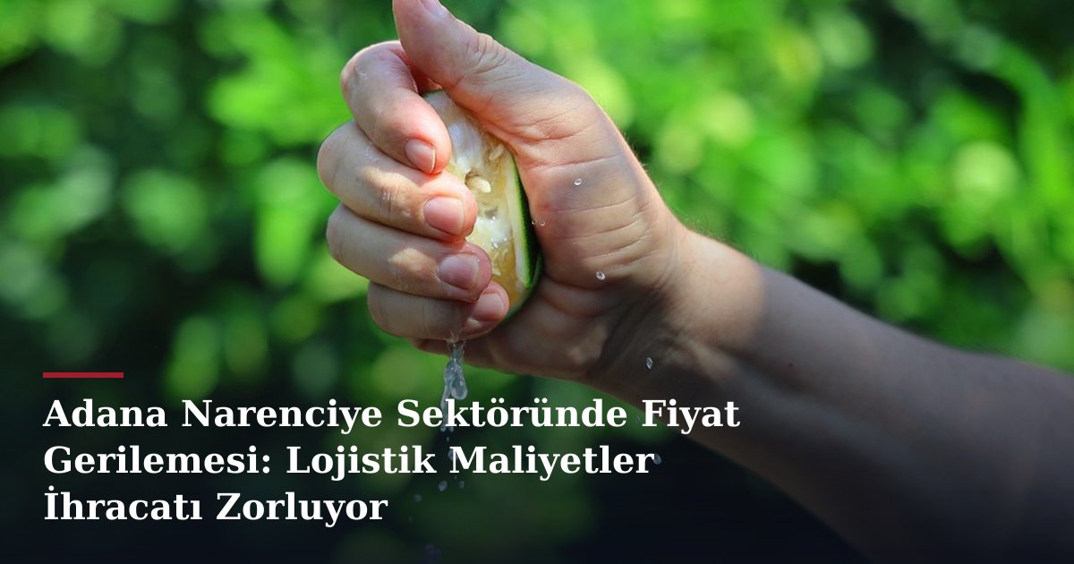 Adana Narenciye Sektöründe Fiyat Gerilemesi: Lojistik Maliyetler İhracatı Zorluyor