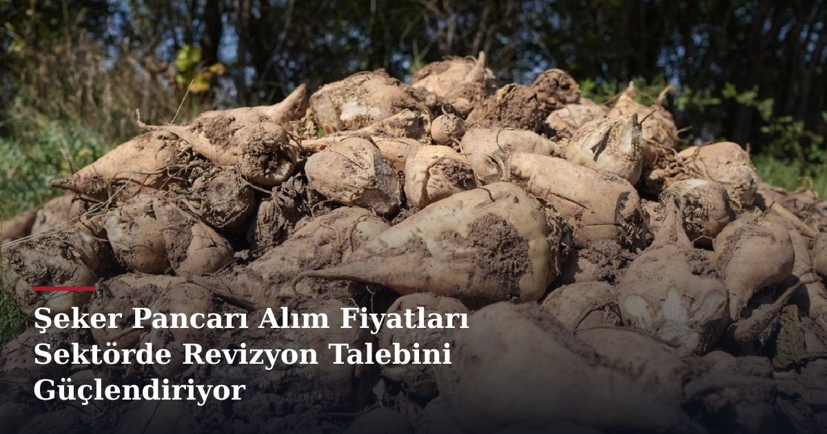 Şeker Pancarı Alım Fiyatları Sektörde Revizyon Talebini Güçlendiriyor