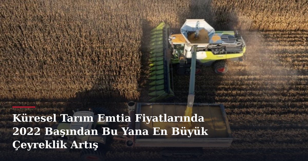 Küresel Tarım Emtia Fiyatlarında 2022 Başından Bu Yana En Büyük Çeyreklik Artış