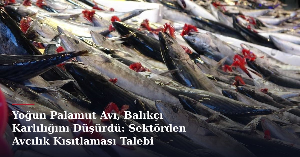 Yoğun Palamut Avı, Balıkçı Karlılığını Düşürdü: Sektörden Avcılık Kısıtlaması Talebi
